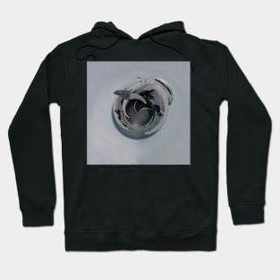 RAF Harrier Planet Hoodie